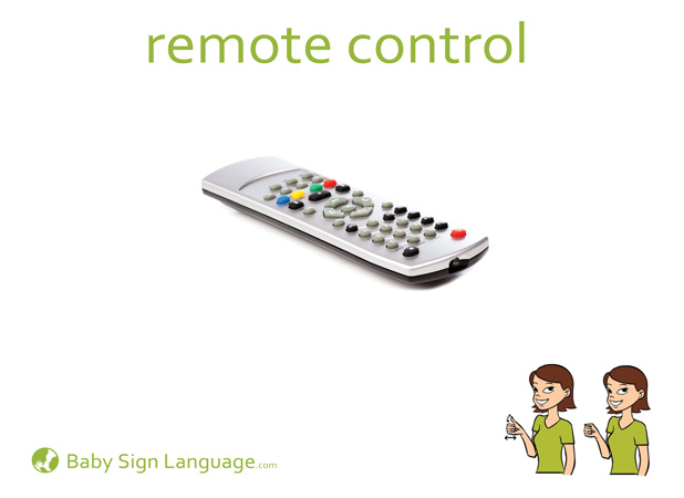 Remote Control Baby Sign Language Flash card